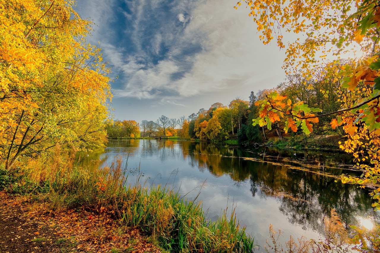 Experience Yorkshire's Finest: Fishing Lodge Holidays